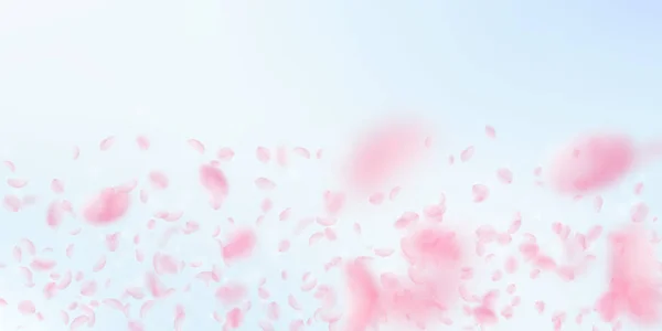 Sakura lístky padající. Romantické růžové květy přechod. Letící květy na modré obloze široké zázemí — Stockový vektor