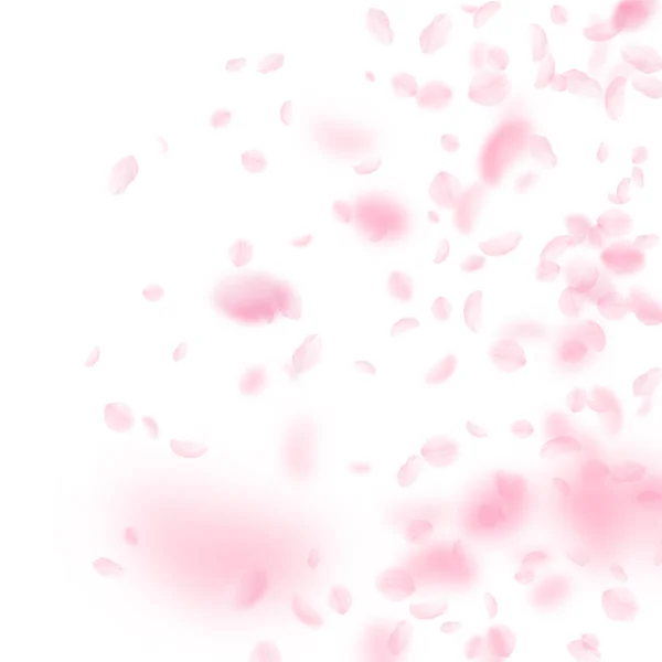 桜の花びらが落ちています ロマンチックなピンクの花のグラデーション 白い正方形の背景に花びらを飛んでいます ロマンス概念 見事な結婚式招待状 — ストックベクタ