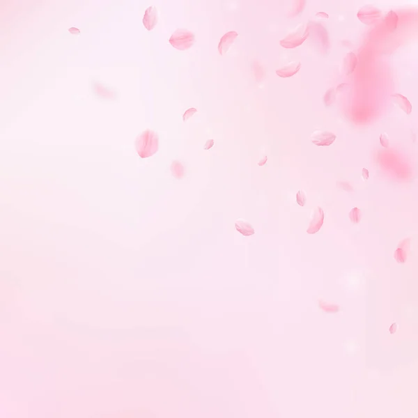 Pétalos Sakura cayendo. Rincón de flores rosas románticas. Pétalos voladores sobre fondo cuadrado rosado. L — Archivo Imágenes Vectoriales