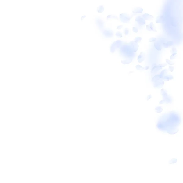 Pétalos de flor azul claro cayendo. Rincón único de flores románticas. Pétalo volador sobre cuadrado blanco — Archivo Imágenes Vectoriales