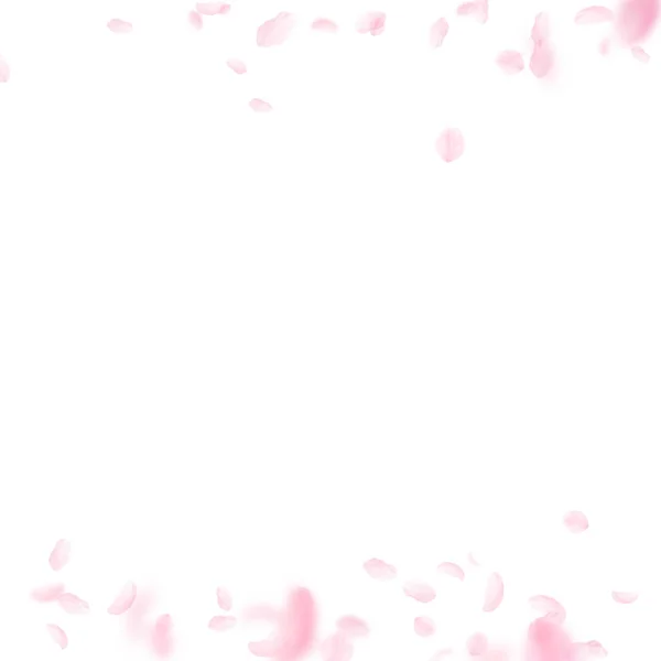 Sakura petals falling down. Romantic pink flowers borders. Flying petals on white square background. — Stock Vector