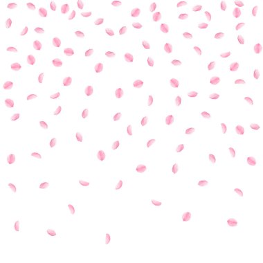 Sakura yaprakları aşağı düşen. Romantik pembe ipek gibi küçük çiçekler. Seyrek kiraz yaprakları uçan. En iyi yüksek lisans