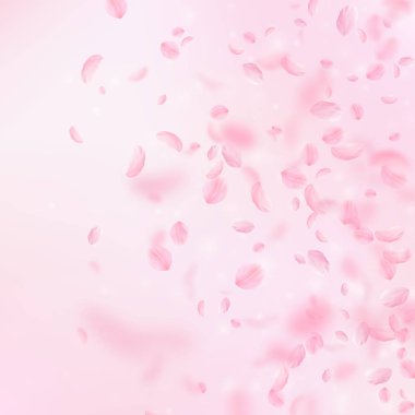 Sakura yaprakları aşağı düşen. Romantik pembe çiçekler degrade. Pembe kare zemin üzerinde uçan yaprakları.