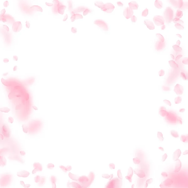 Pétalos Sakura cayendo. Marco de flores rosas románticas. Pétalos voladores sobre fondo cuadrado blanco. L — Vector de stock