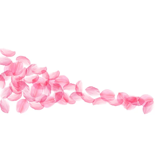Sakura szirmok zuhan. Romantikus rózsaszín selymes nagy virágok. Vastag repülő cseresznye szirmai. Négyzet alakú shap — Stock Vector