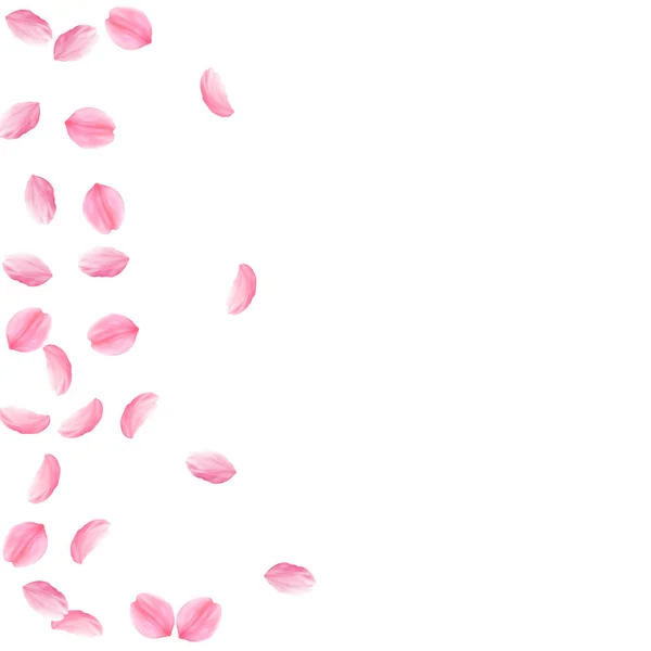 Сакура пелюстки падають. Романтичний рожеві шовковистою середнього квіти. Розріджені flying Вишневе пелюсток. Точкова діаграма — стоковий вектор