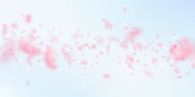 Sakura petals falling down. Romantic pink flowers falling rain. Flying petals on blue sky wide backg clipart