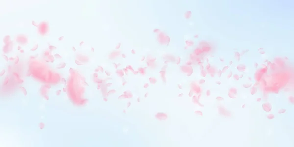 Pétalas Sakura a cair. Flores rosa românticas chuva caindo. Pétalas voadoras no céu azul backg largo —  Vetores de Stock