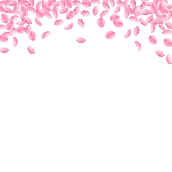 Pétalos Sakura cayendo. Romántico rosa brillante flores medianas. Pétalos de cereza voladores gruesos. Cuadrado — Vector de stock