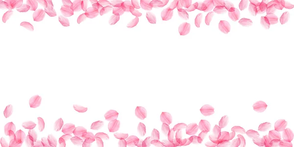 Сакура пелюстки падають. Романтичний рожеві шовковистою великі квіти. Товсті літаючих Вишневе пелюсток. Широкий scatte — стоковий вектор