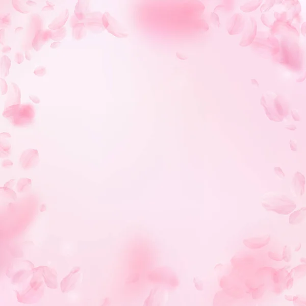 Sakura petals falling down. Romantic pink flowers vignette. Flying petals on pink square background. — Stock Vector