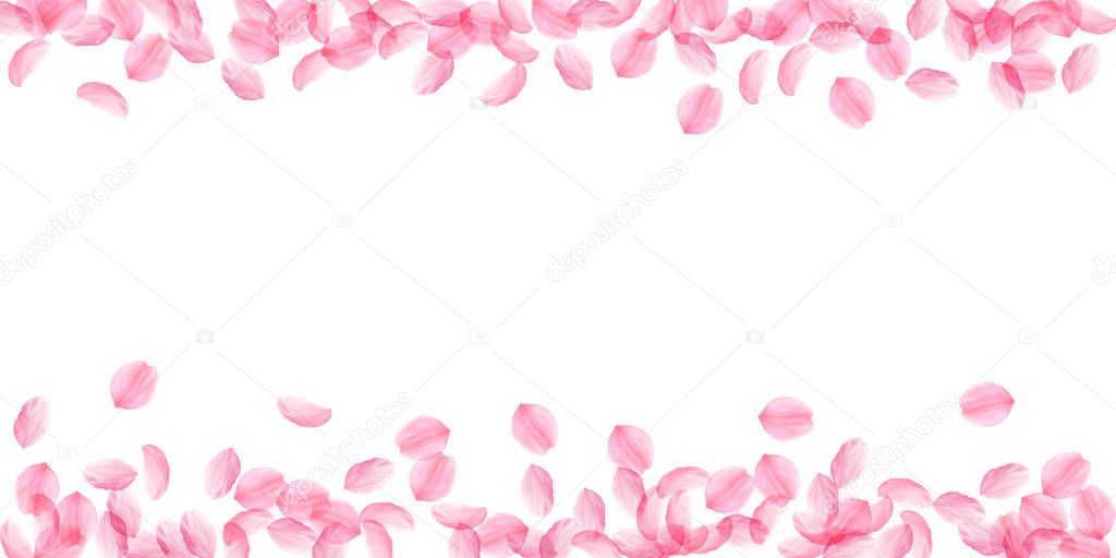Sakura petals falling down. Romantic pink silky big flowers. Thick flying cherry petals. Wide scatte