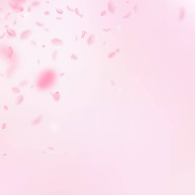 Sakura yaprakları aşağı düşen. Romantik pembe çiçekler köşesi. Yaprakları pembe kare arka plan üzerinde uçan. L