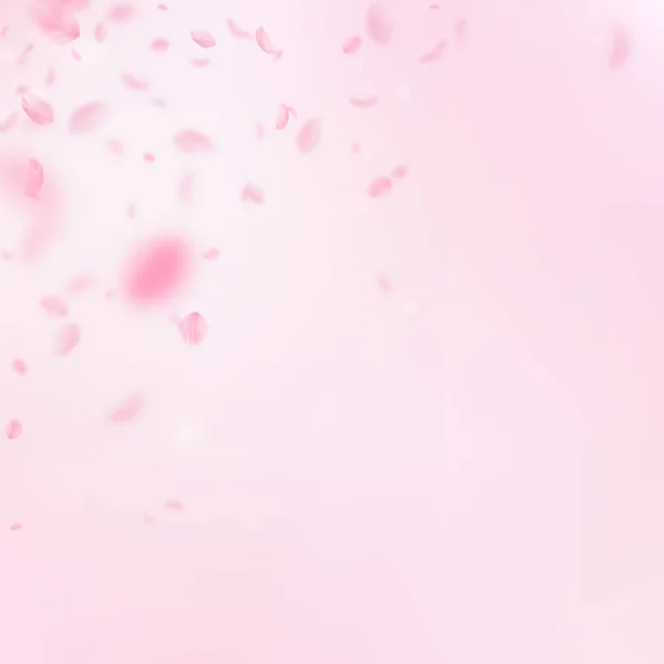 桜の花びらが落ちています。ロマンチックなピンクの花のコーナー。ピンクの正方形の背景に花びらを飛んでいます。L — ストックベクタ