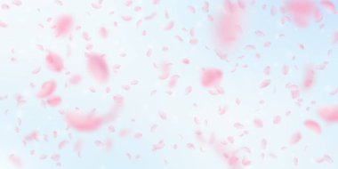 Sakura yaprakları aşağı düşen. Yağmurun romantik pembe çiçekler. Mavi gökyüzü geniş backg üzerinde uçan yaprakları