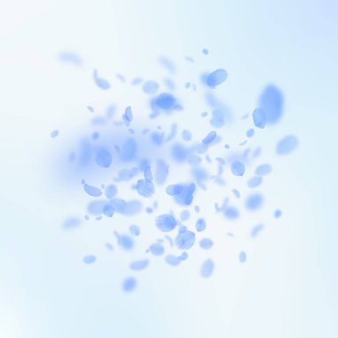 Koyu mavi çiçek yaprakları aşağı düşen. Şirin romantik çiçek patlama. Petal sq mavi gökyüzü uçan