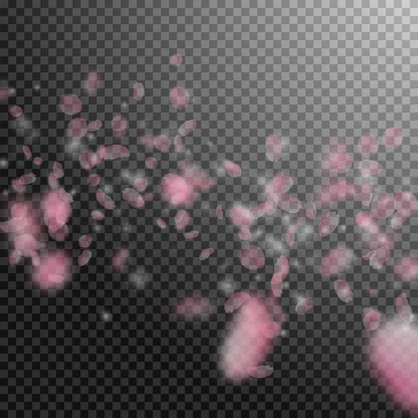 樱花花瓣落下。浪漫的粉红色花朵落下雨。透明正方形上的飞花瓣 — 图库矢量图片
