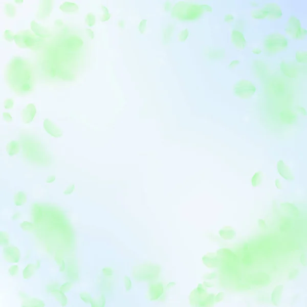 Petali di fiori verdi che cadono. Maestoso romantico fiori vignetta. Petalo volante sul cielo azzurro squar — Vettoriale Stock