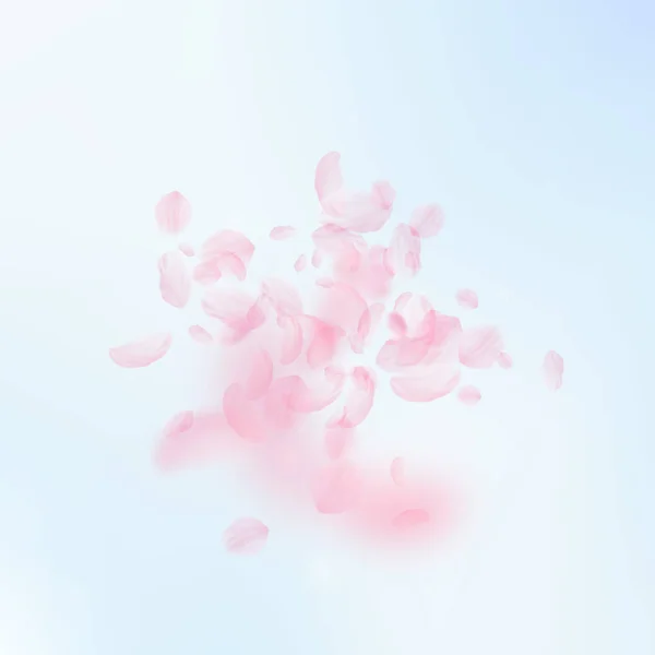 Sakura petals falling down. Romantic pink flowers — Stock Vector