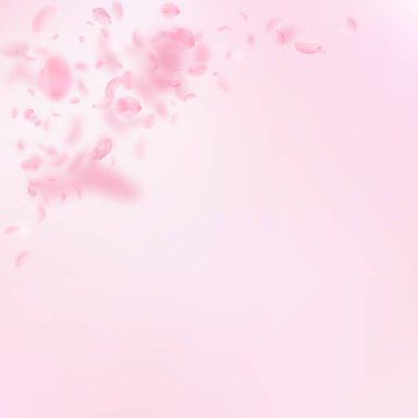 Sakura yaprakları aşağı düşen. Romantik pembe çiçekler köşesi. Yaprakları pembe kare arka plan üzerinde uçan. L