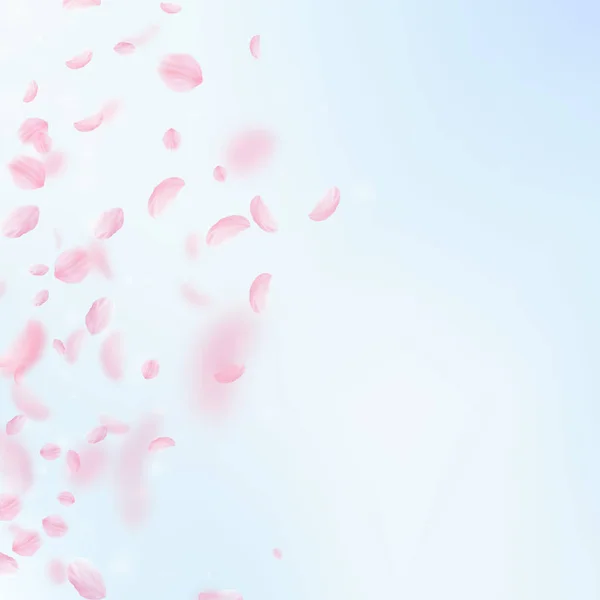 Des pétales de Sakura tombent. Romantique dégradé de fleurs roses. Pétales volantes sur fond carré ciel bleu — Image vectorielle