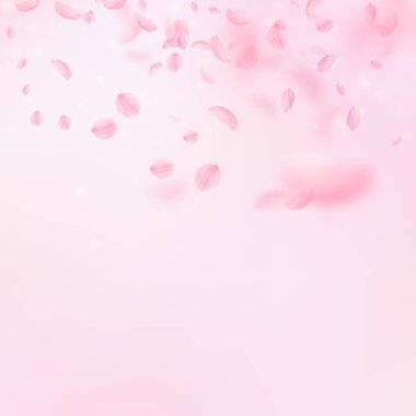 Sakura yaprakları dökülüyor. Romantik pembe çiçekler 