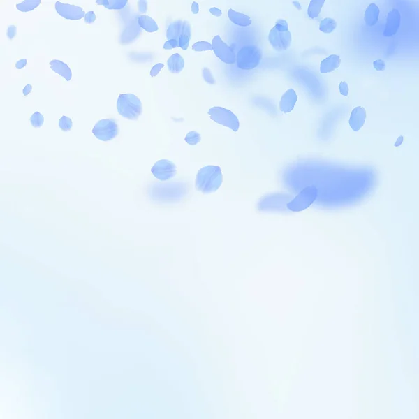 Pétalos de flor azul oscuro cayendo. Increíble gradiente de flores románticas. Pétalo volador en la plaza del cielo azul — Vector de stock