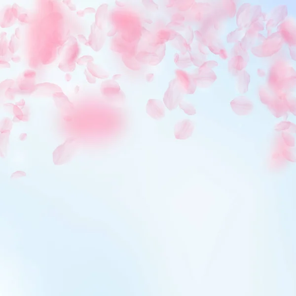 Pétalos Sakura cayendo. Flores rosas románticas cayendo lluvia. Pétalos voladores en azul cielo cuadrado bac — Vector de stock