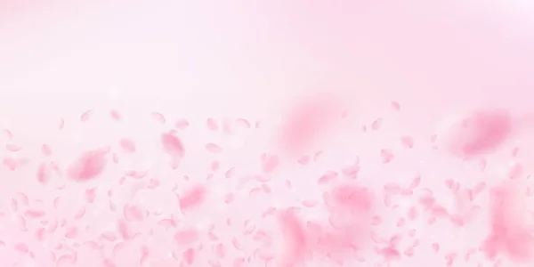 กลีบซากุระตกลงมา ดอกไม้สีชมพูโรแมนติก — ภาพเวกเตอร์สต็อก