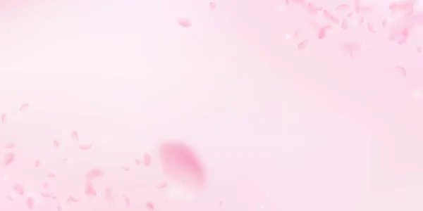 Sakura πέταλα που πέφτουν. Γωνίες ρομαντικό ροζ λουλούδια. Πετώντας πέταλα σε ροζ φόντο ευρύ. Lo — Διανυσματικό Αρχείο