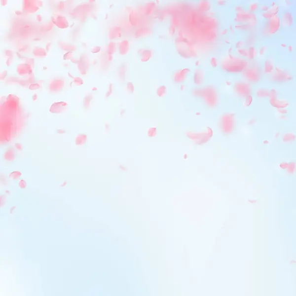 Sakura petals falling down. Romantic pink flowers falling rain. Flying petals on blue sky square bac — Stock Vector