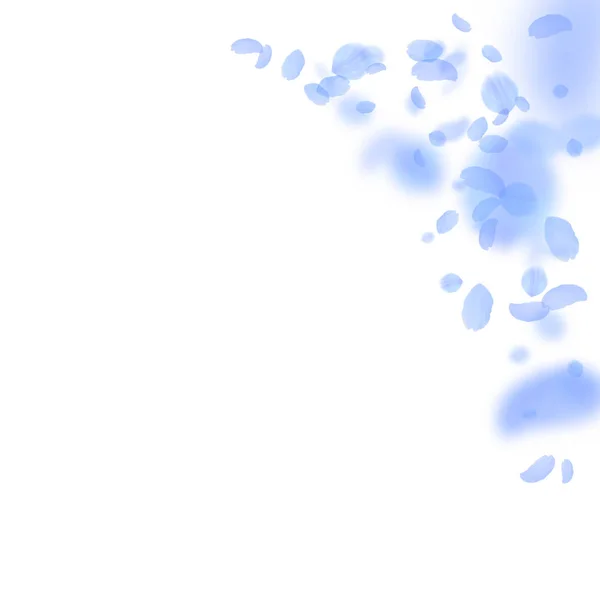 Petali di fiori blu scuro che cadono. Angolo dei fiori molto romantico. Petalo volante su quadrato bianco b — Vettoriale Stock