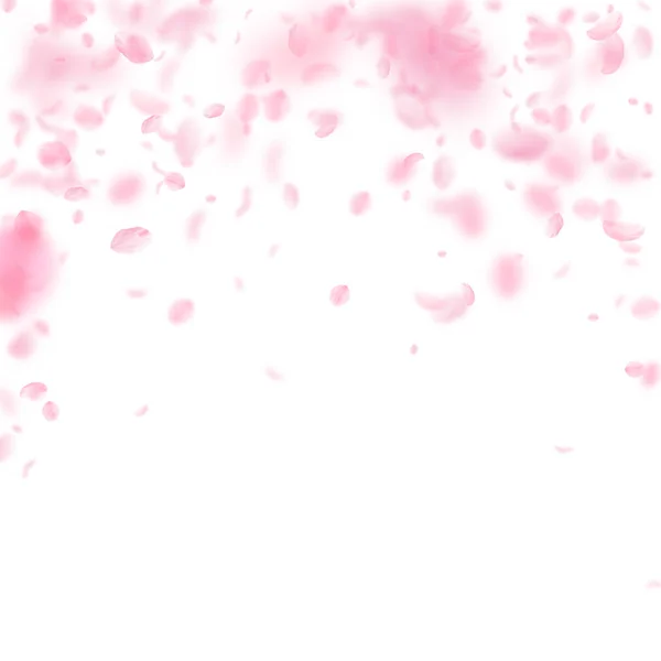 Pétalas Sakura a cair. Flores rosa românticas —  Vetores de Stock