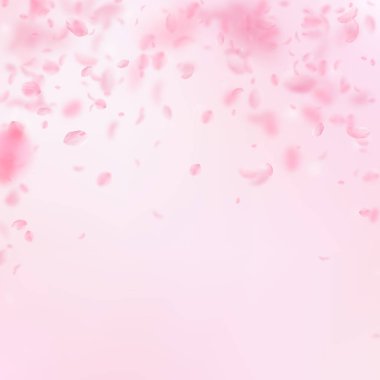 Sakura yaprakları dökülüyor. Romantik pembe çiçekler 