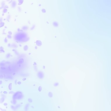 Mor çiçek yaprakları dökülüyor. Tuhaf Romanti.