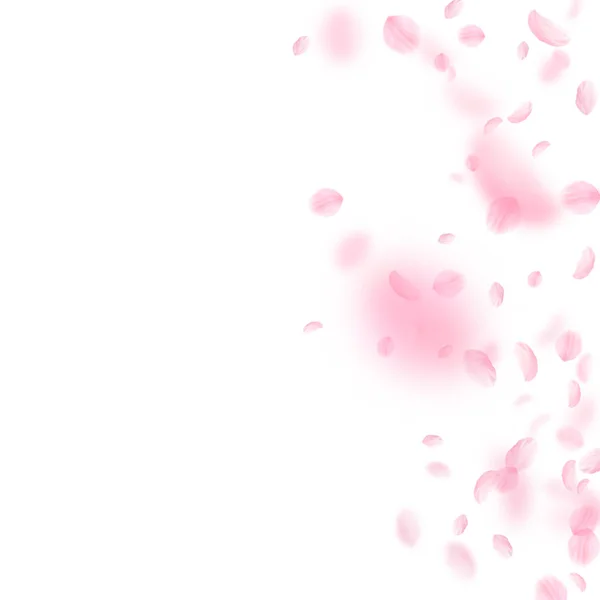 Pétalos Sakura cayendo. Flores rosas románticas — Archivo Imágenes Vectoriales