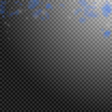 Koyu mavi çiçek yaprakları aşağı düşen. Değerli rom