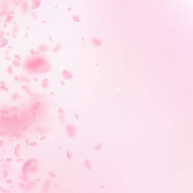 Sakura yaprakları dökülüyor. Romantik pembe çiçekler 