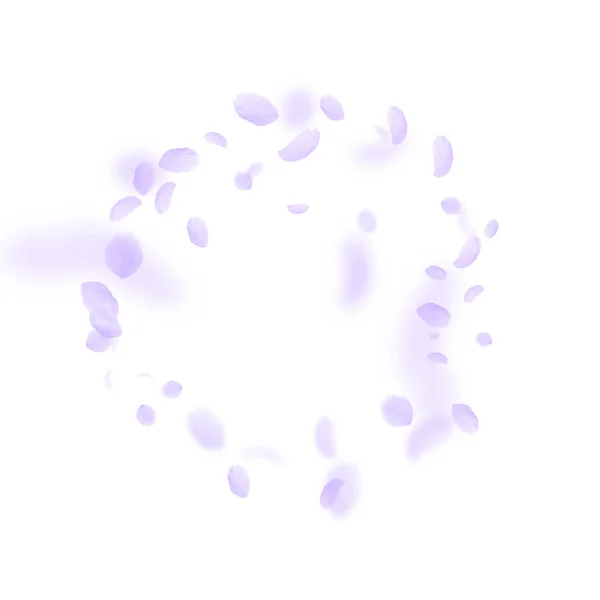 Violetta blomblad faller ner. Ovanlig romantik — Stock vektor