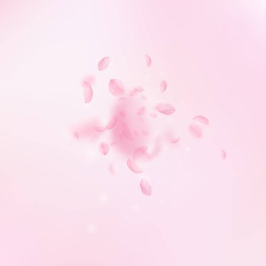 Sakura yaprakları dökülüyor. Romantik pembe çiçekler 