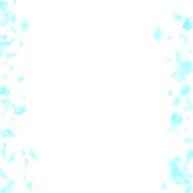 Turkuaz çiçek yaprakları dökülüyor. Popüler Roma