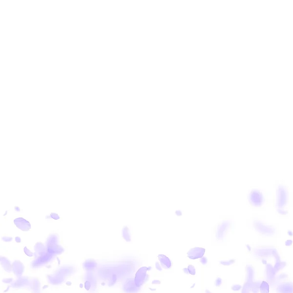 Pétalos de flores violetas cayendo. Divertido romanti — Vector de stock