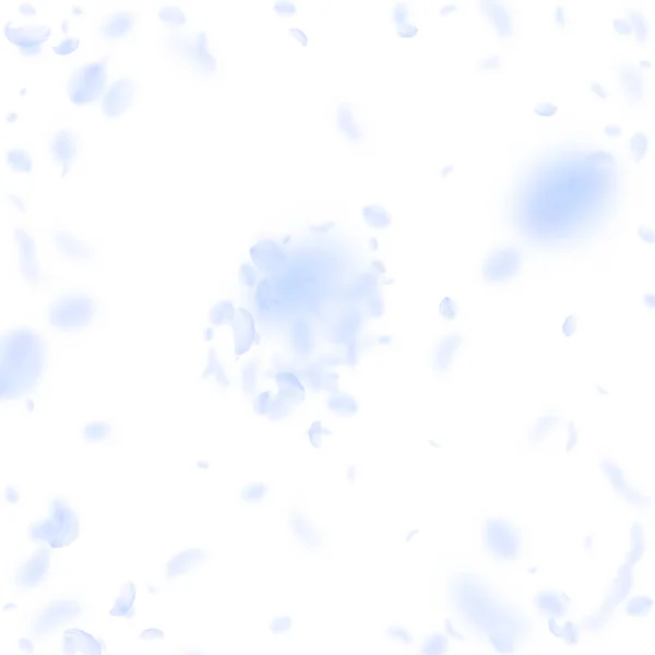 Pétalos de flor azul claro cayendo. Valioso ro — Archivo Imágenes Vectoriales