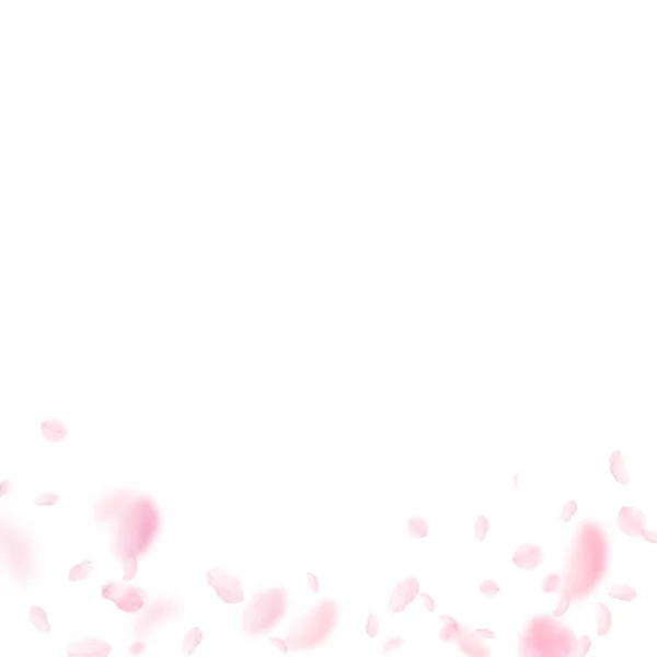 Σακούρα πέταλα πέφτουν κάτω. Ρομαντικά ροζ λουλούδια — Διανυσματικό Αρχείο