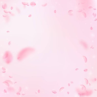 Sakura yaprakları dökülüyor. Romantik pembe çiçekler 