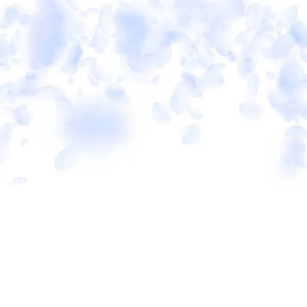Light blue flower petals falling down. Pleasant ro — Stock Vector