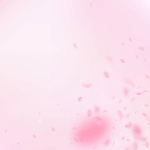 Pétalas Sakura a cair. Flores rosa românticas — Vetor de Stock