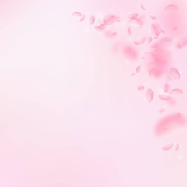 Sakura yaprakları dökülüyor. Romantik pembe çiçekler 