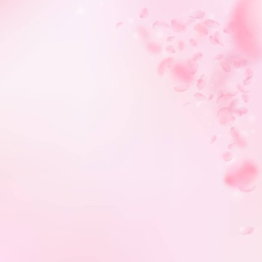Sakura yaprakları dökülüyor. Romantik pembe çiçekler 
