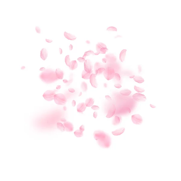 Des pétales de Sakura tombent. Fleurs roses romantiques — Image vectorielle